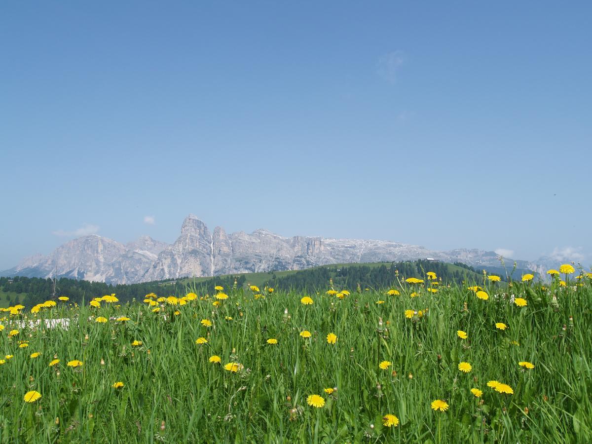 Residence Vajolet San Cassiano Εξωτερικό φωτογραφία