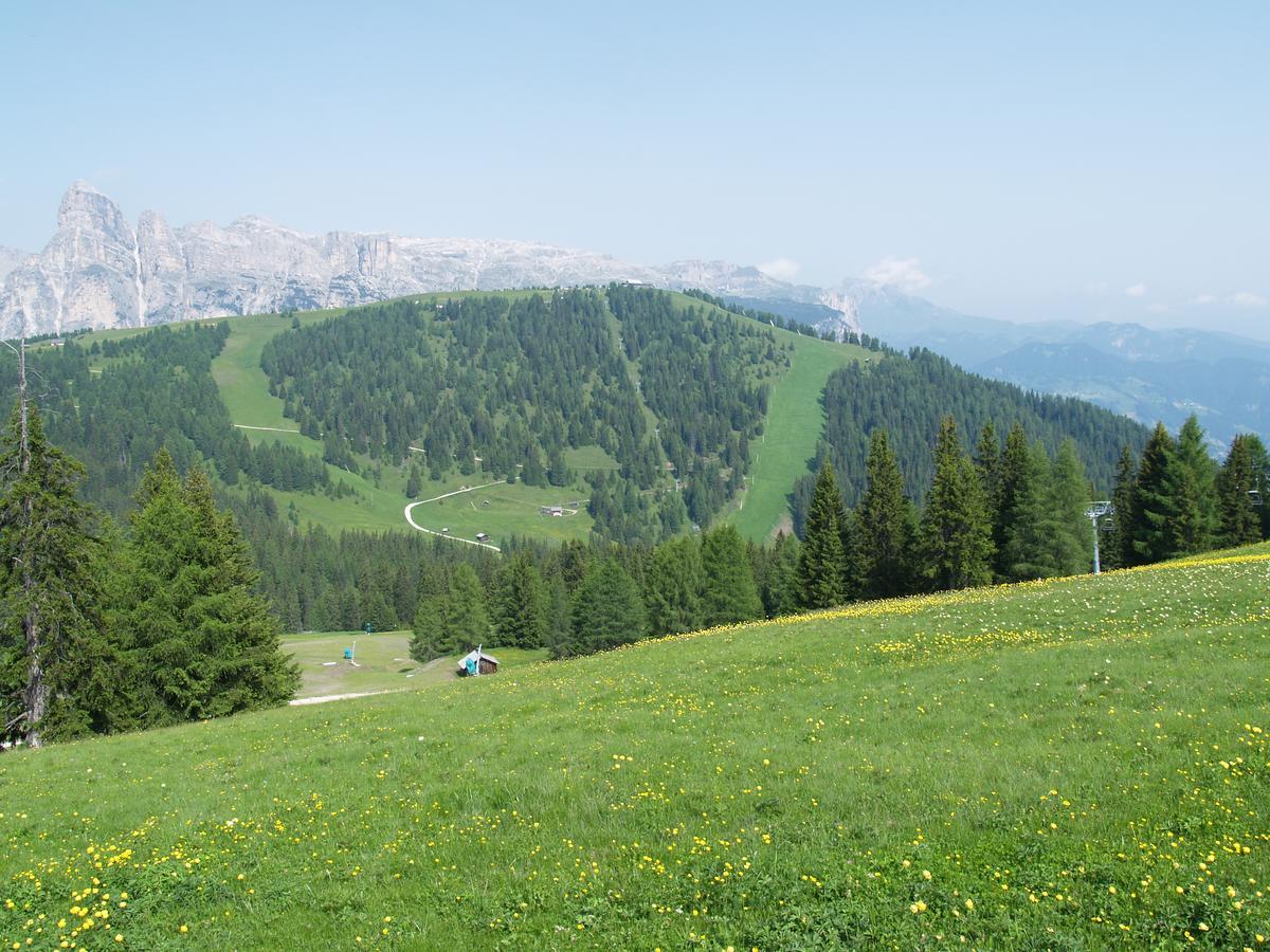 Residence Vajolet San Cassiano Εξωτερικό φωτογραφία